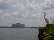 The Contemparary from afar