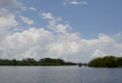 On the lake