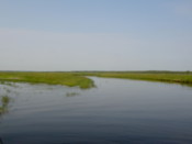The smooth, glassy water