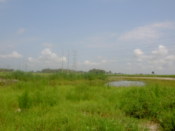 The view from our stopping point