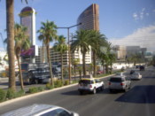 The Wynn
