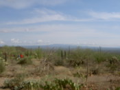 Desert terrain