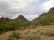 Mountains