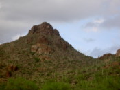 View on the way up to a viewing point