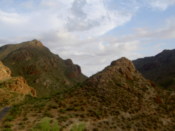 Another view from the viewing point I climbed to