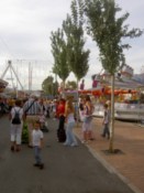People hanging out at the fiar