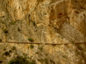 I'd not fancy walking that path