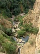 Looking into the gorge