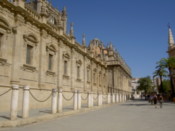 Horses by one side of the cathedral