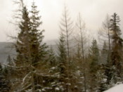 A view of some distant but clouded hills