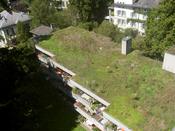 Grass growing on a roof - a disguise?