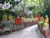 Selected Image