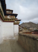 One level of the kumbum
