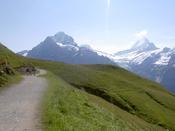The path towards the lake