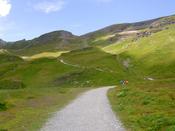 Path towards the river