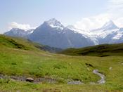 A little mountain stream
