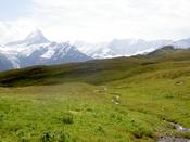 The stream winds away down the hill