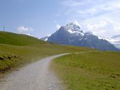 The path ahead