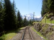 I nearly got run over by a train taking this!