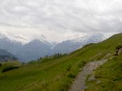 The path back towards the station