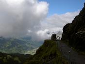 Spotted while walking to Mannlichen from Kleine Scheidegg