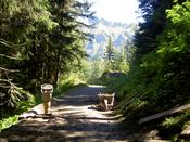 Another one on the way to Murren