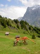 On the Bort - Grindelwald scoot