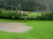 Waterlogged field at Wilderswill