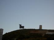 The bull on the hill at Torreblanca