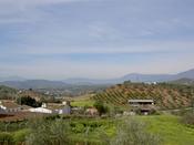 Looking accross farm land