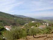 More farms