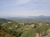 Looking away from Alora