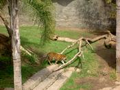 ...and so he goes away again.