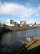 The Dyje river