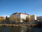 The Dyje river