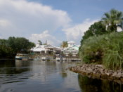 The harbour