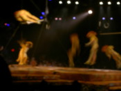 Monkey acrobatics in "The Lion King" show